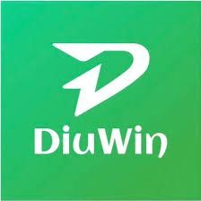 Mastering Diu Win: A Smarter Take on Colour Trading