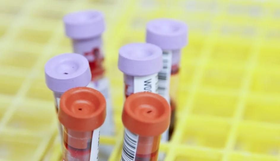 Global Export of Quality Generic Medicines from India
