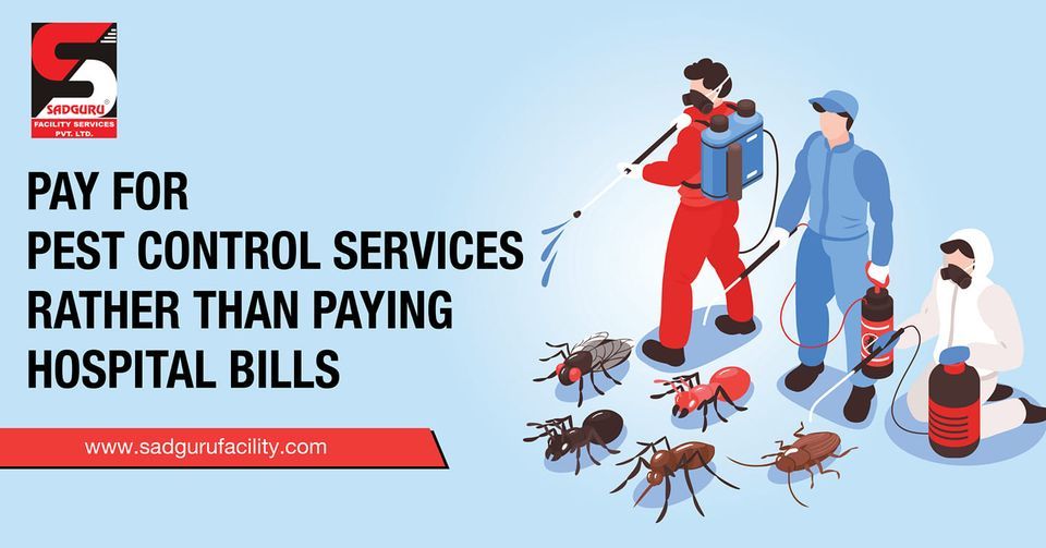 Cockroach Pest Control Services in Mumbai – Sadguru Pest Control