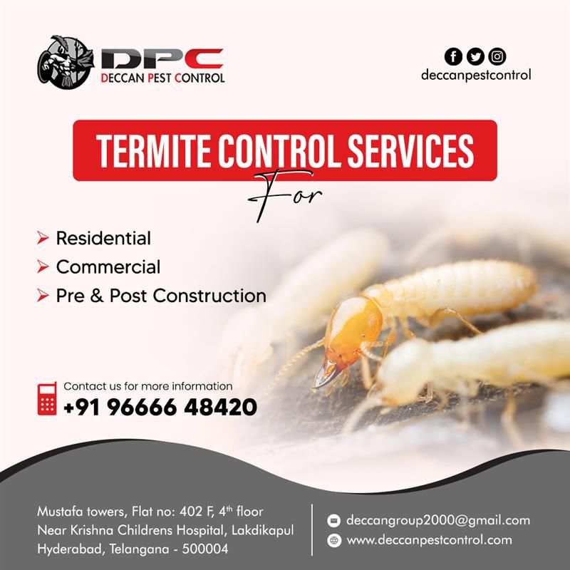 Best Termite Control Services in Hyderabad