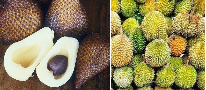 Snake Fruit (fresh fruit)