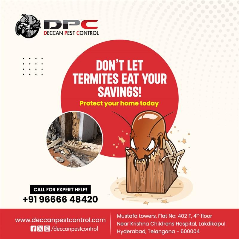 Termite Pest Control in Hyderabad