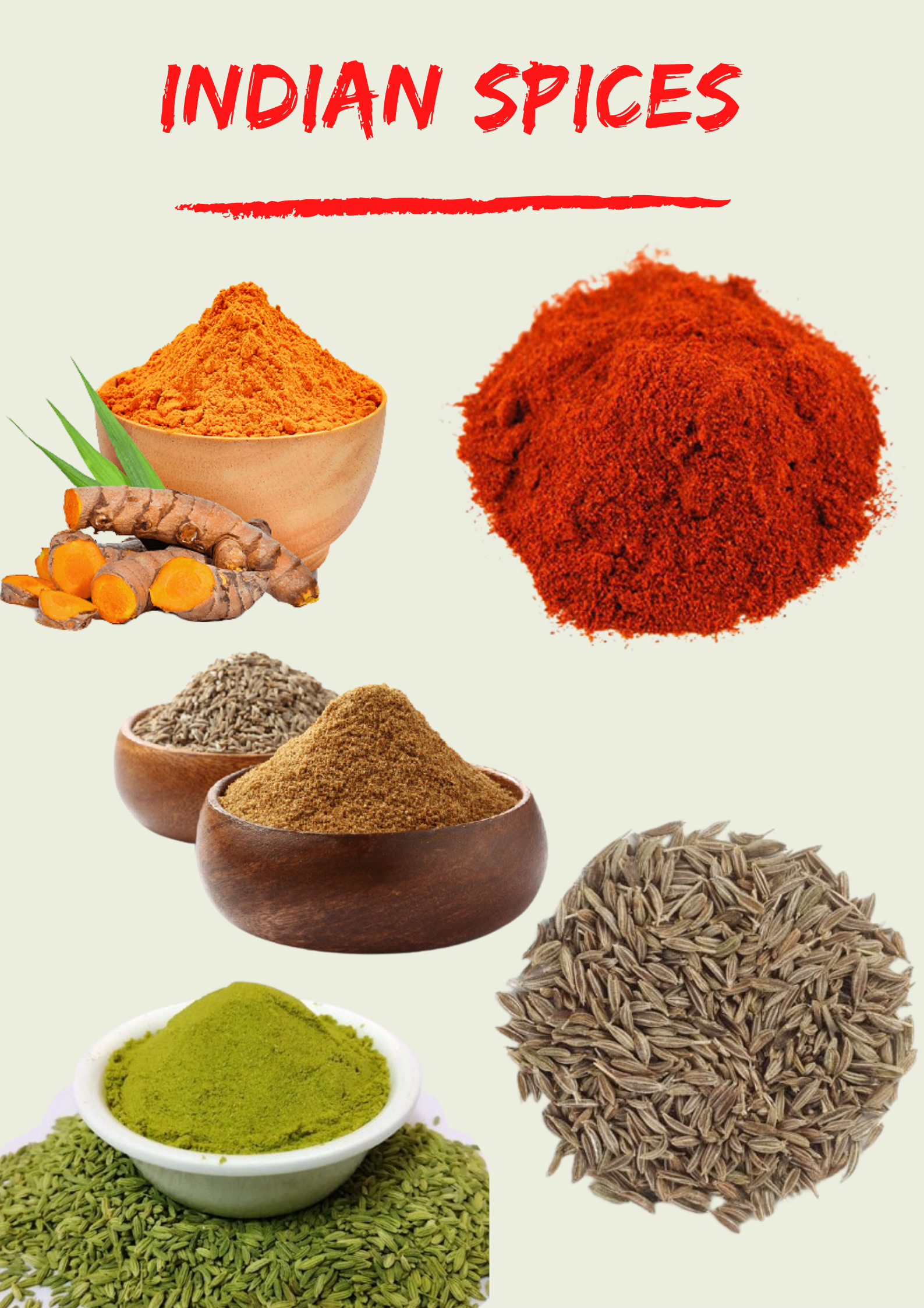 Global Exporter of Indian Spices | Vyom Overseas