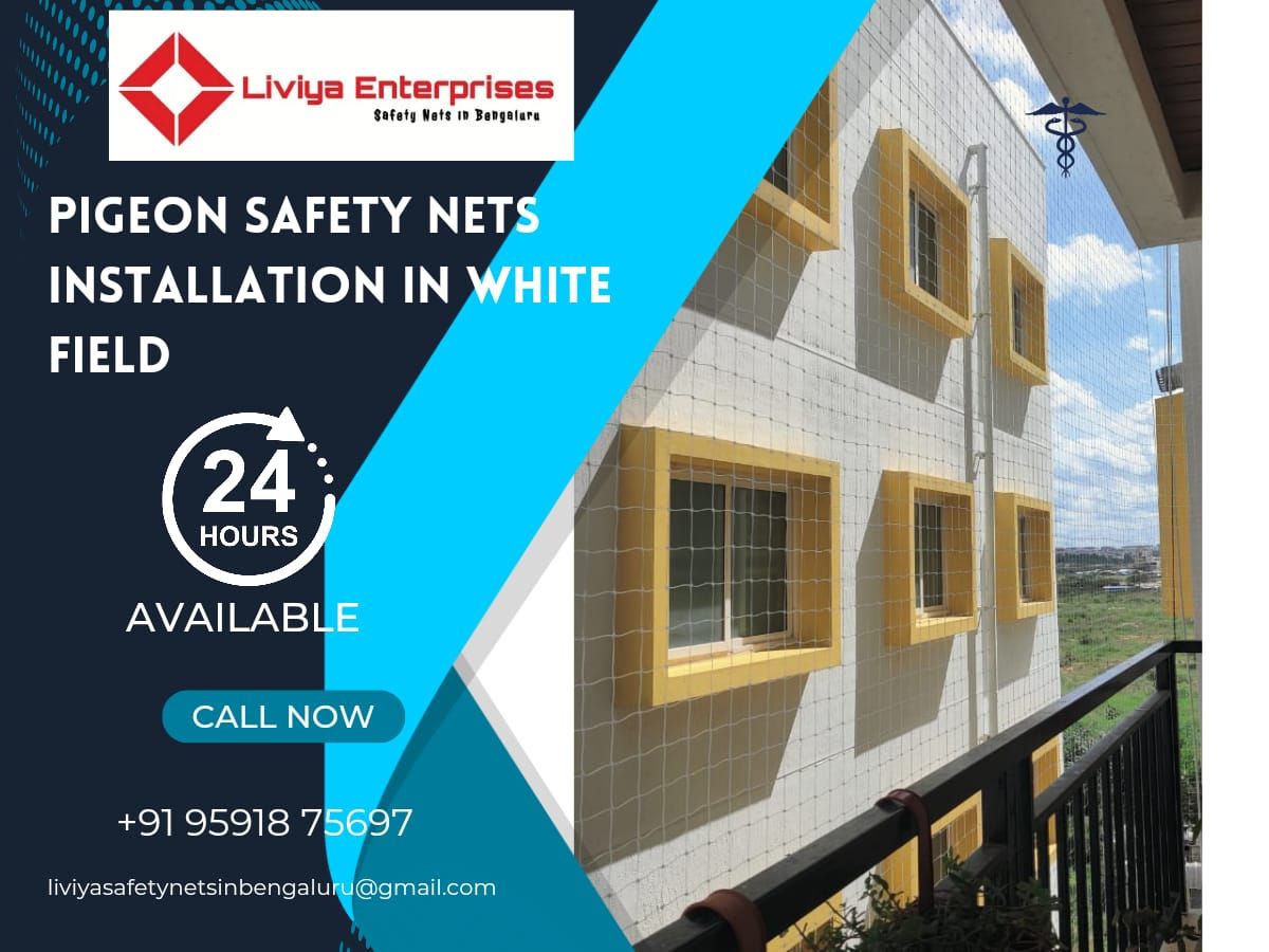 Pigeon Safety Nets Services in Bangalore