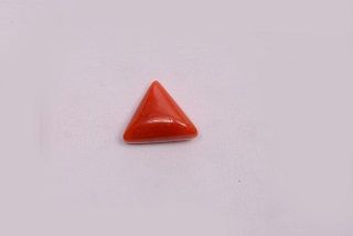   Rishabhjains.com | coral gemstone online