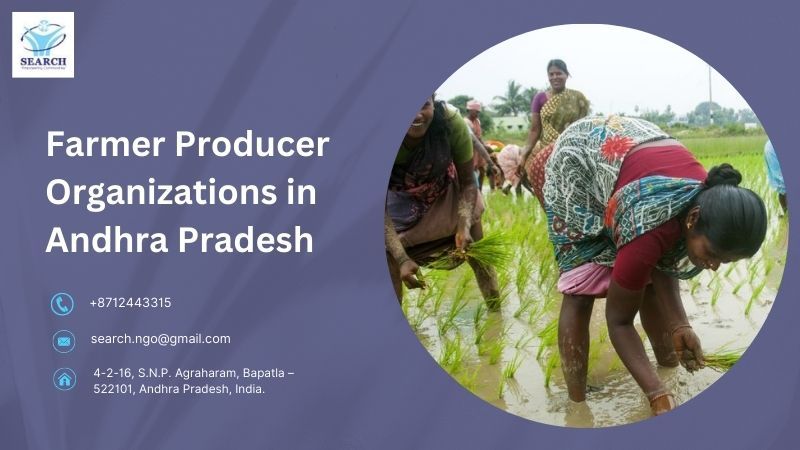 Search NGO - Farmer Producer Organizations in Andhra Pradesh