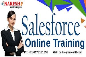 SalesForce Online Training - Naresh I Technologies