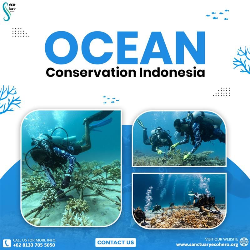 Ocean Conservation Indonesia
