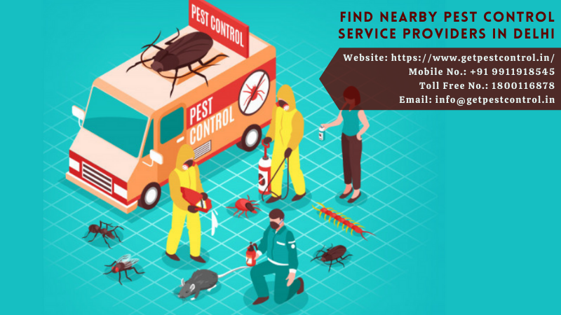 Find Nearby Pest Control Service Providers in Delhi