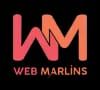 Local SEO Services | Local SEO Agency in Delhi - Web Marlins