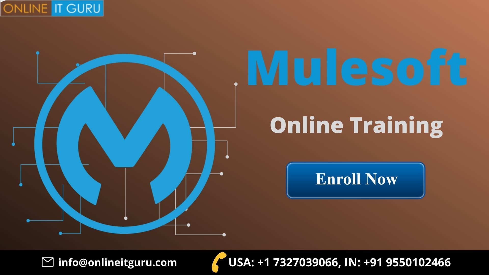 Mulesoft online training india | mulesoft online training in India