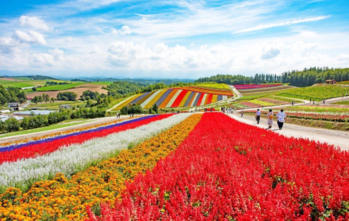Affordable Japan holiday packages from Chennai
