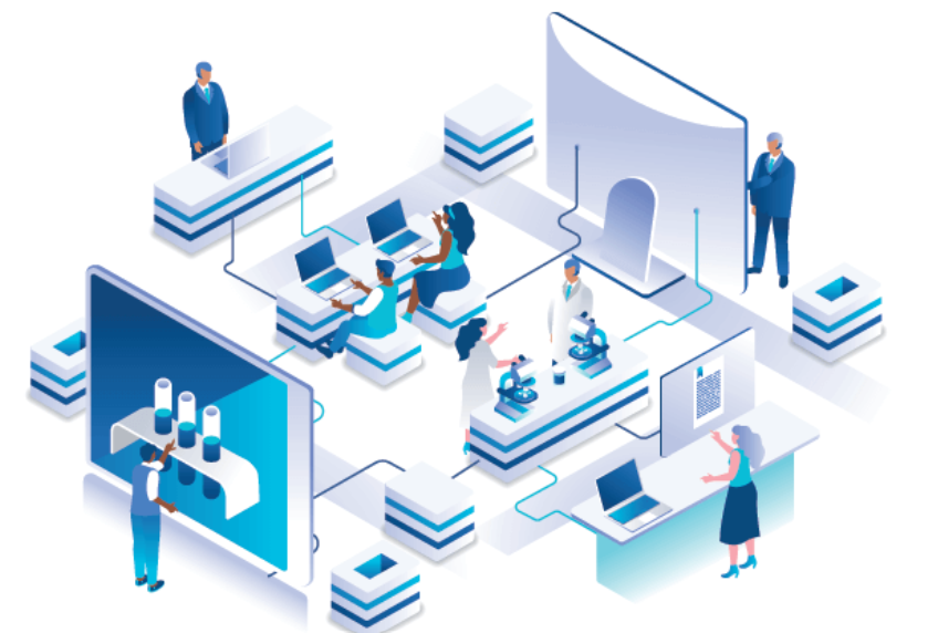 Manage Your Business Finances Smarter with Netiquette
