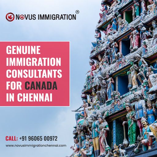 Best Immigration Consultants in Chennai, Novus Immigration Chennai