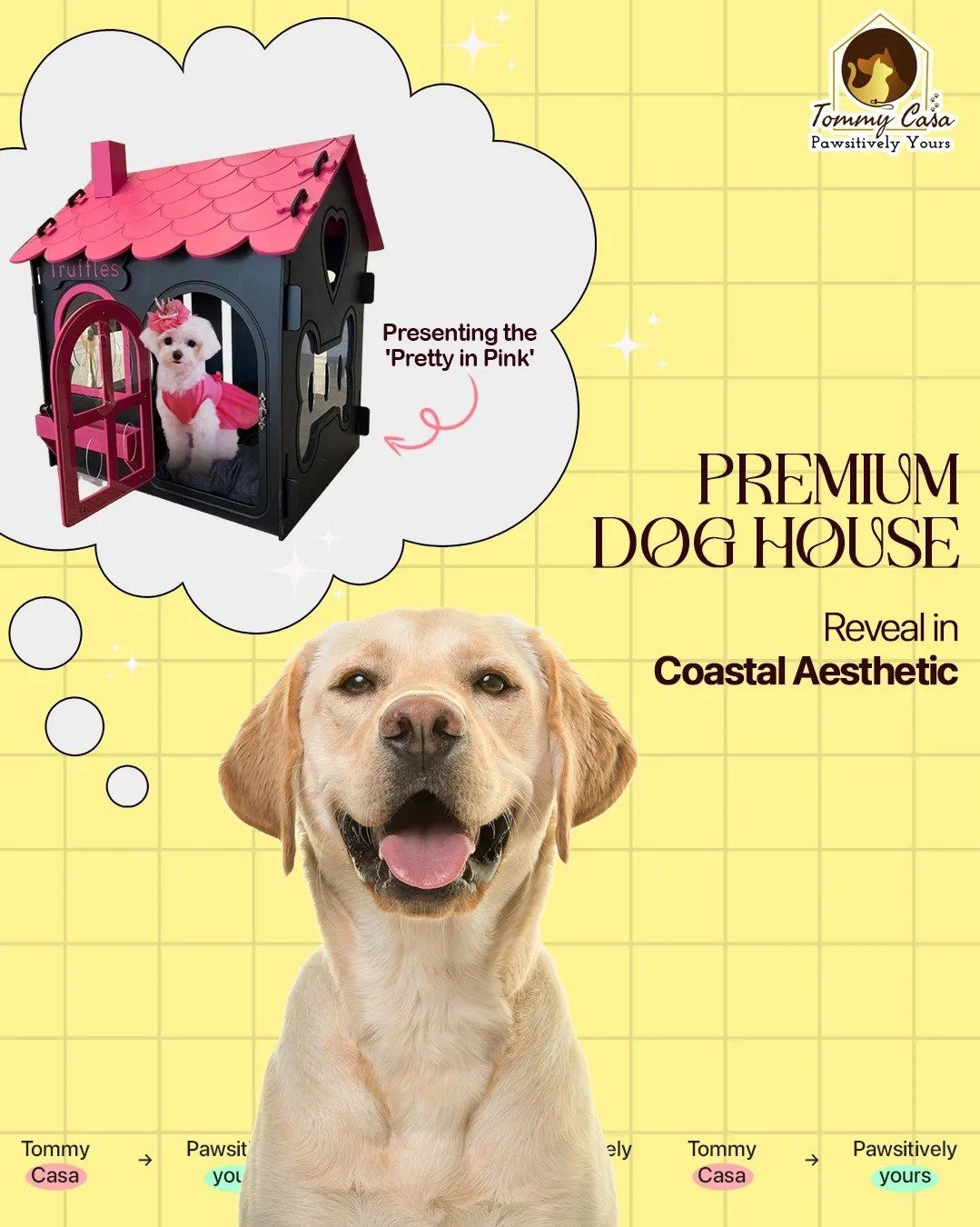 Premium Pet Houses for Dogs and Cats at Tommy Casa