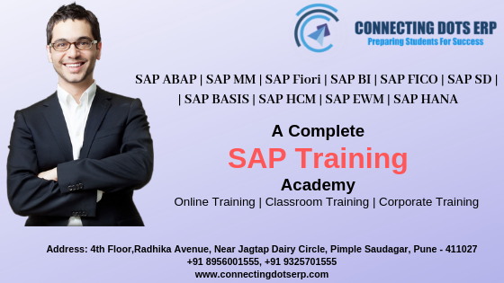 Best SAP Training In Pune