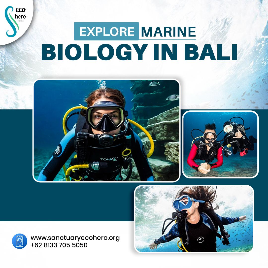 Explore Marine Biology in Bali