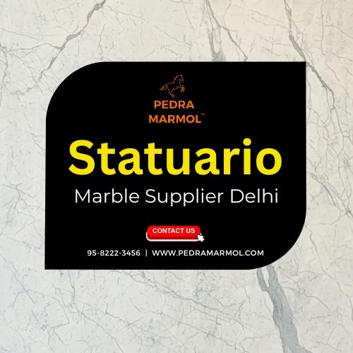 Statuario Marble Supplier Delhi