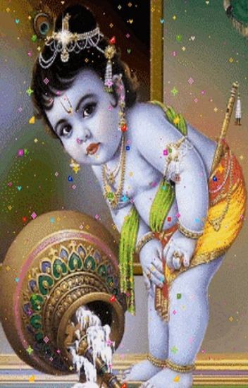 Astrologer Near Me | Best Astrologer Near Me | Sri Krishna Astrologer