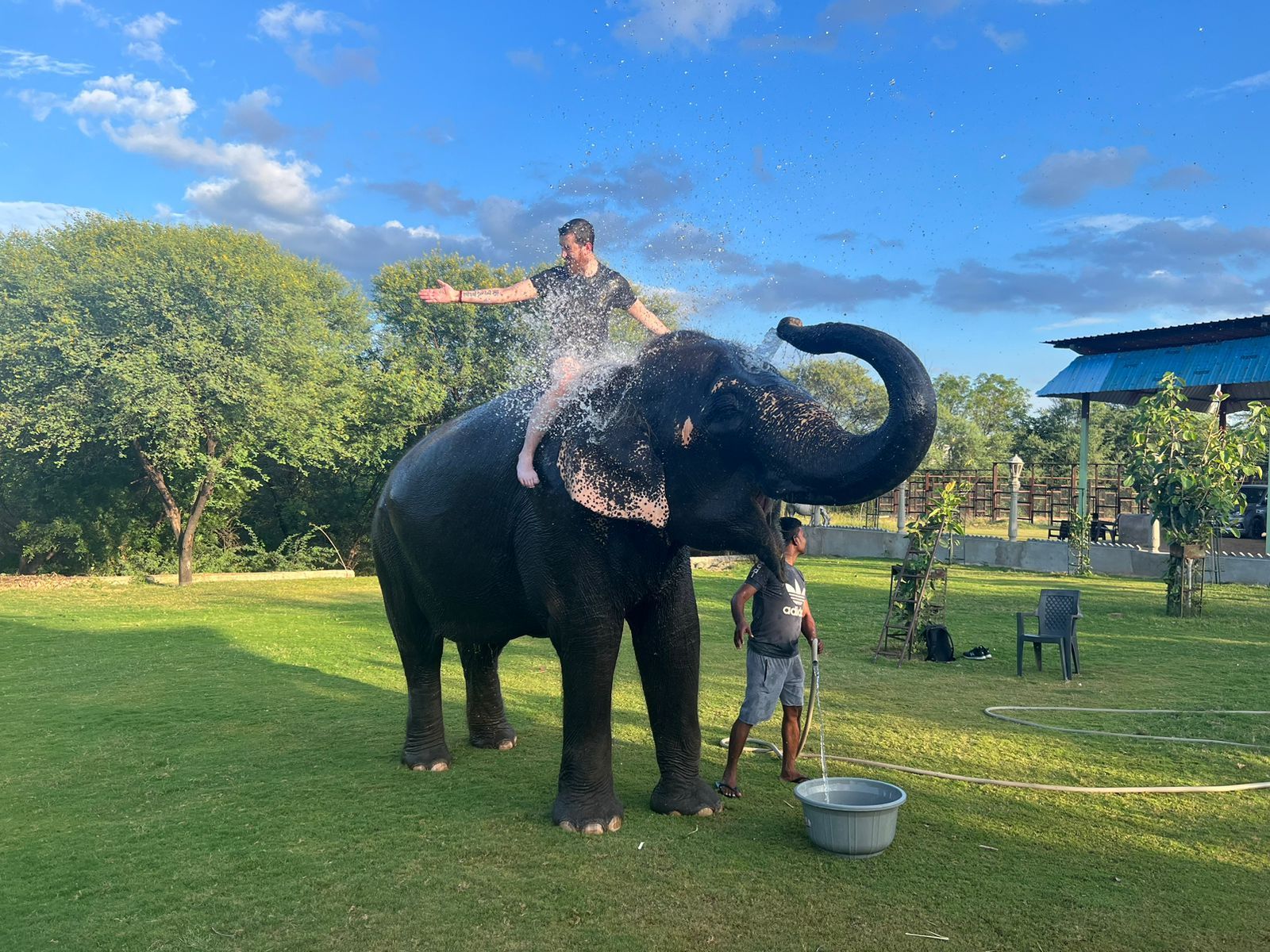 Best Elephant Sanctuary & Rides Jaipur. Ethical Fun!