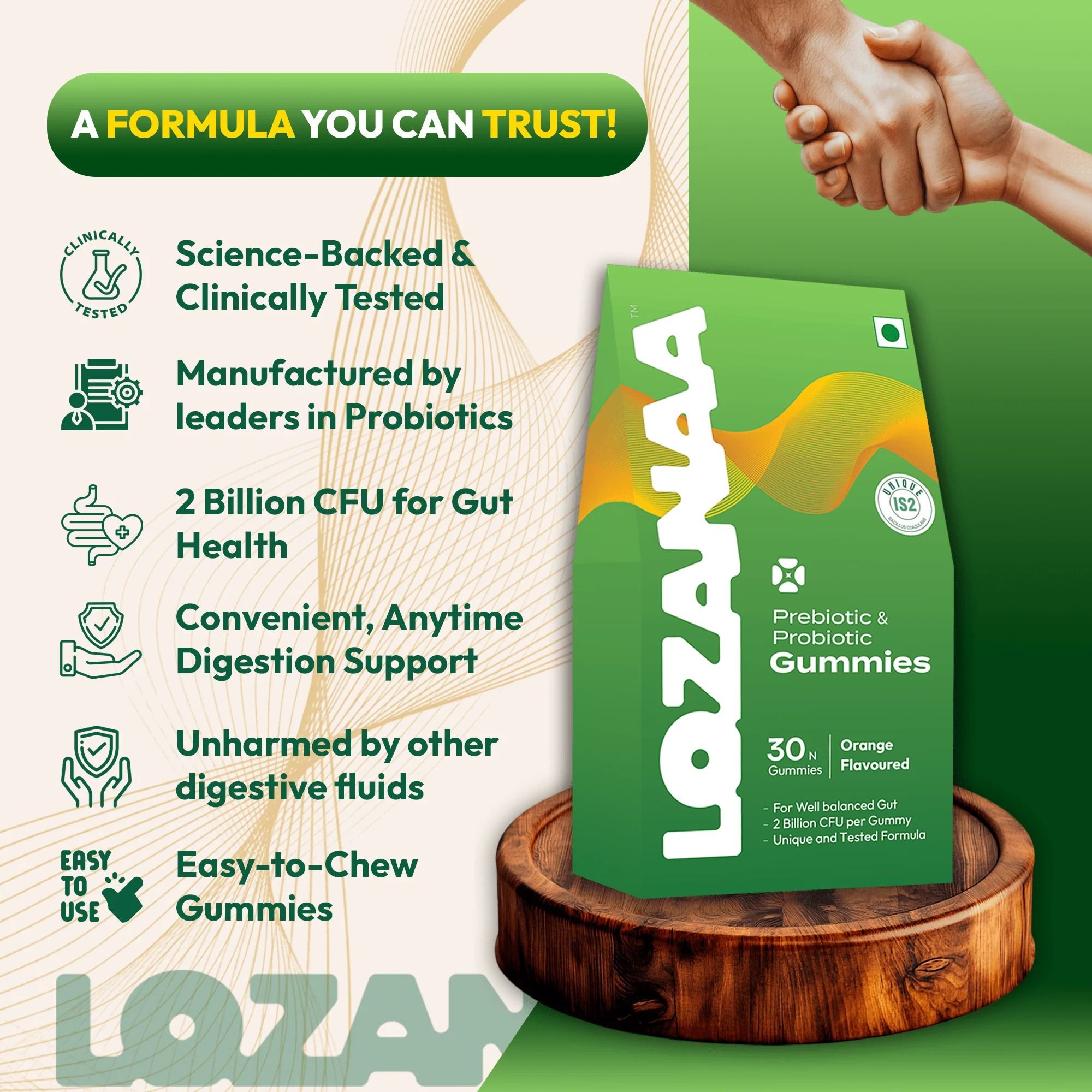 Supplements to Improve Gut Health That Fit Effortlessly into Life by Lozanaa