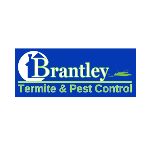 Termite Inspection in Pinellas County
