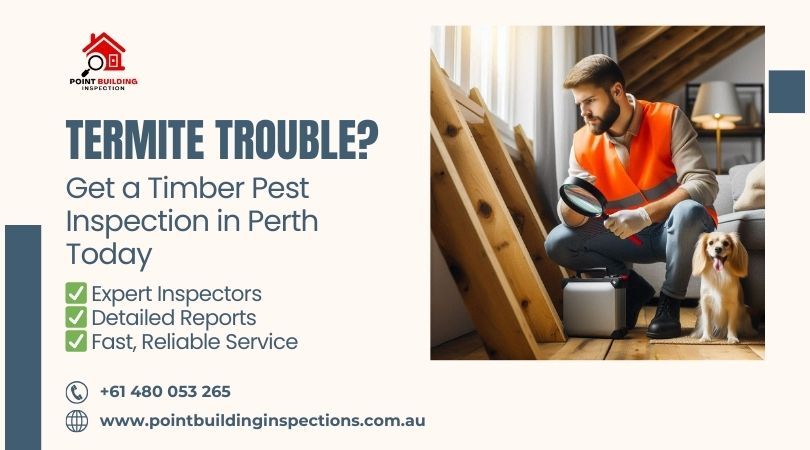 Get expert timber pest inspection in Perth and Avoid Costly Repairs