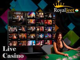 Play Live Casino Games Online with Royaljeet Today