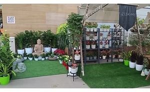 Practical & Aesthetic Garden Consultancy Tailored for You – Greenlands