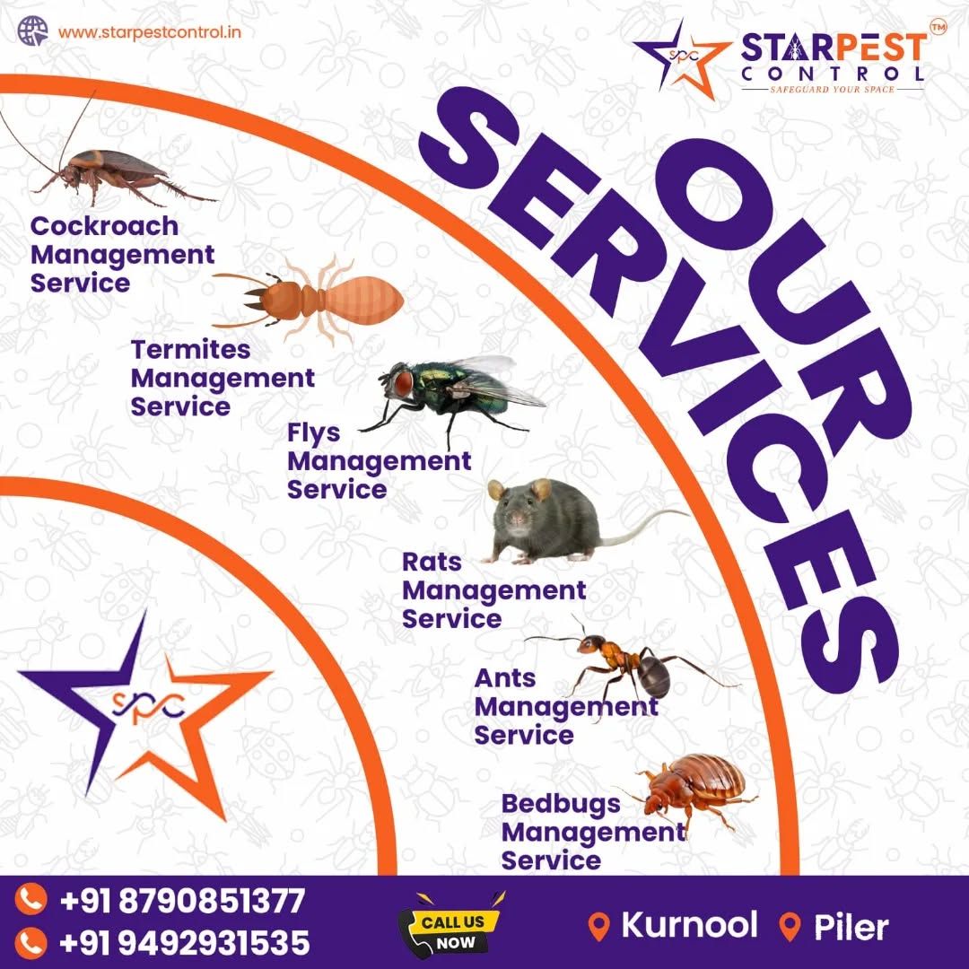 Best Flies and Spider Pest Control Services in Kurnool