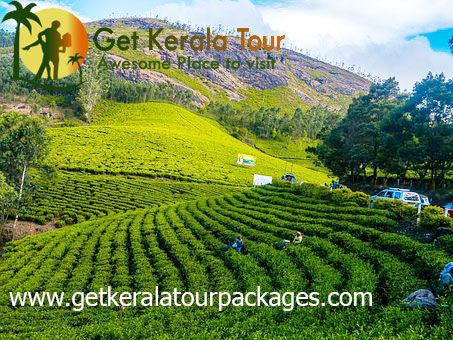 kerala tour packages | tour packages in kerala | kerala packages - 9871411233