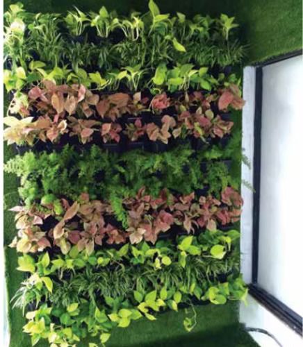 Trusted Green Wall Vendors in Mumbai – Greenlands India 