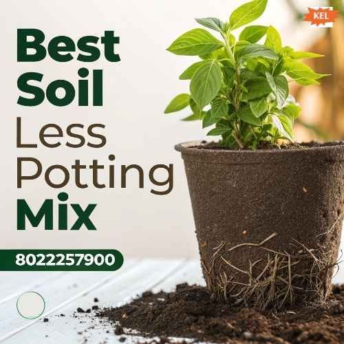 Best Soil Less Potting Mix