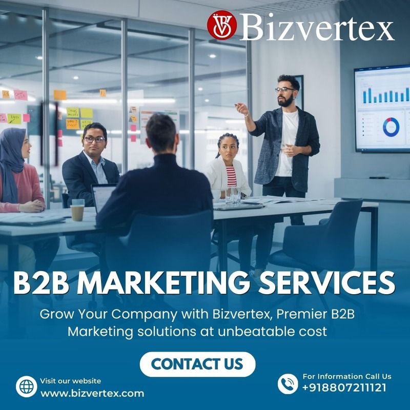 Bizvertex: Redefining B2B Marketing for Companies That Mean Business