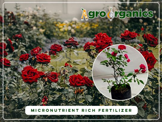 Organic Fertilizer for Plants - Agro Organics