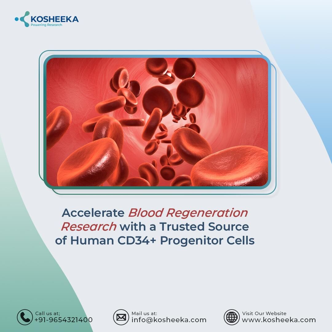 Accelerate Blood Regeneration Research with a Trusted Source of Human CD34+ Progenitor Cells