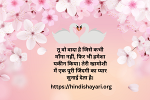 HindiShayari – Poetry That Expresses Your Heart
