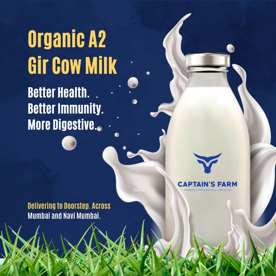 Inside a Pure-Breed Dairy: How Captain’s Farm Raises Their Own Gir Cows with Care