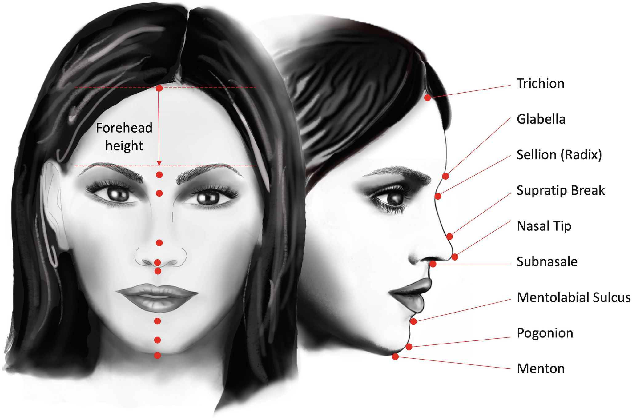 Facial Feminization Surgery in Delhi