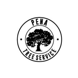 Licensed Tree Service in San Diego County | Pena Tree Services