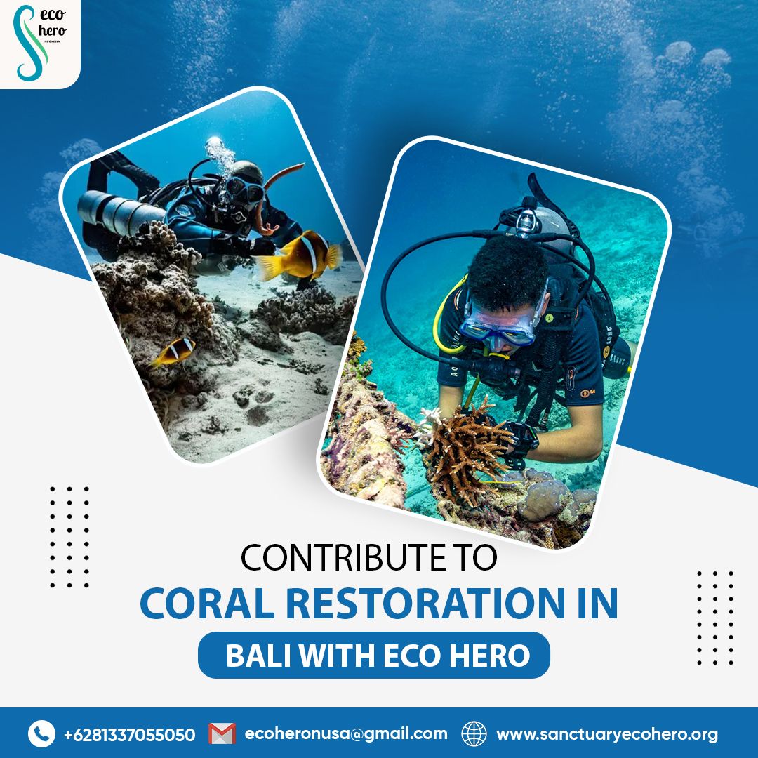 Contribute to Coral Restoration in Bali with Eco Hero