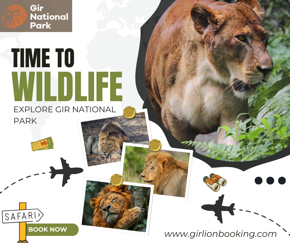 Rising Tourism in Gir National Park – Latest Trends