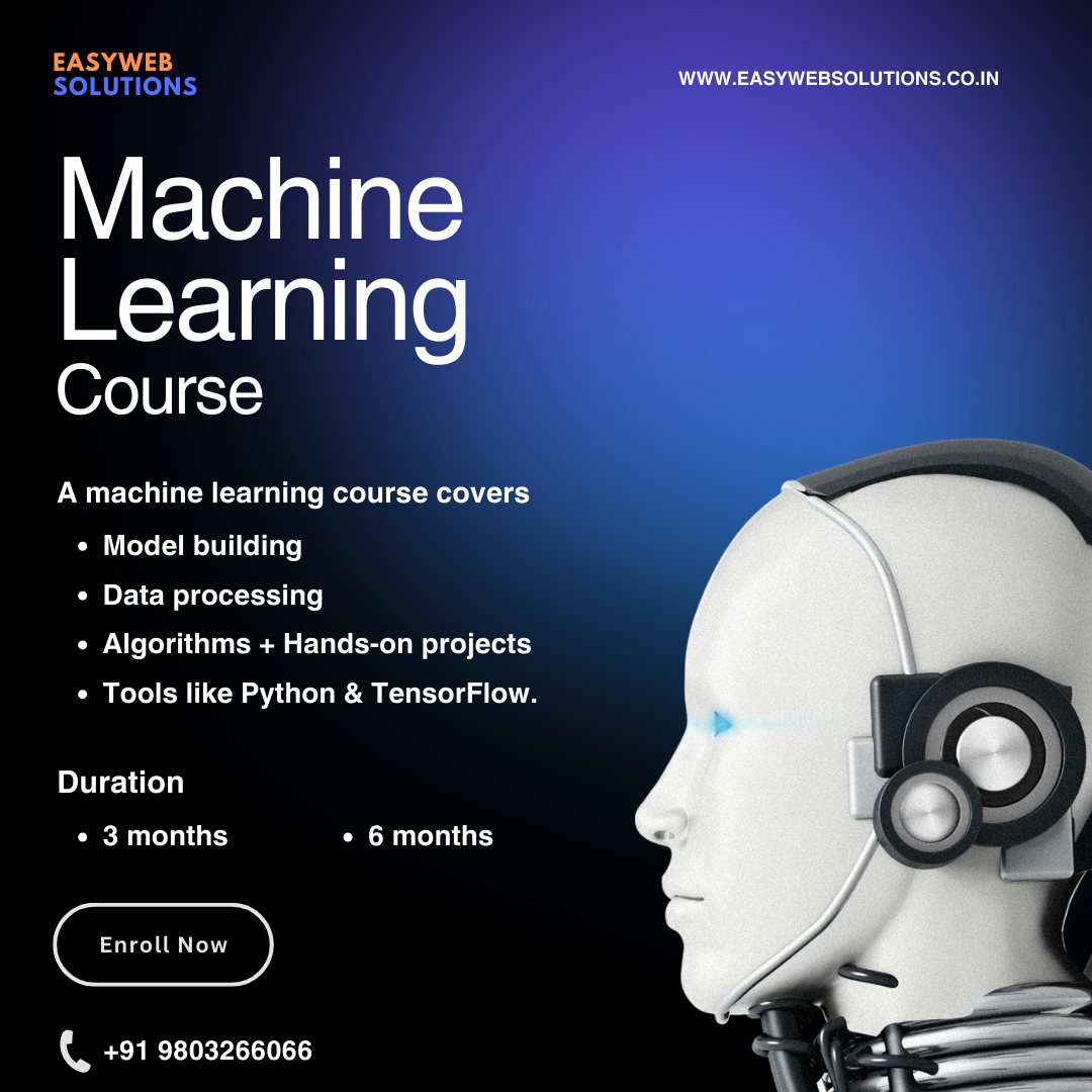 Machine Learning course 