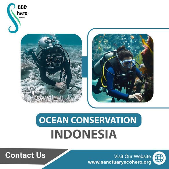 Ocean Conservation Indonesia