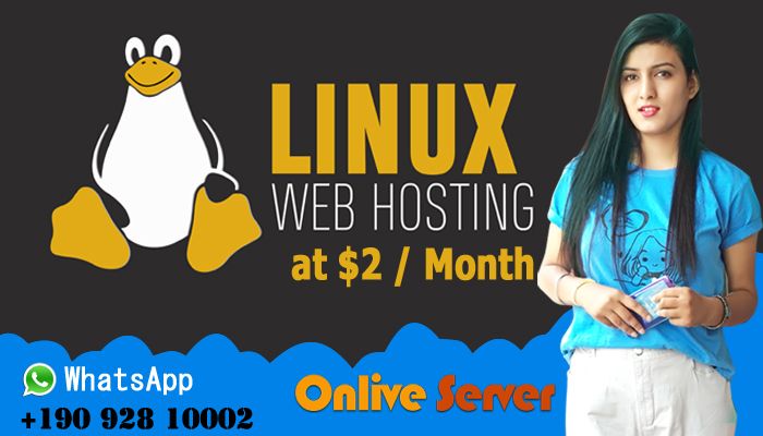 Grab The Best offer in Web Hosting Services