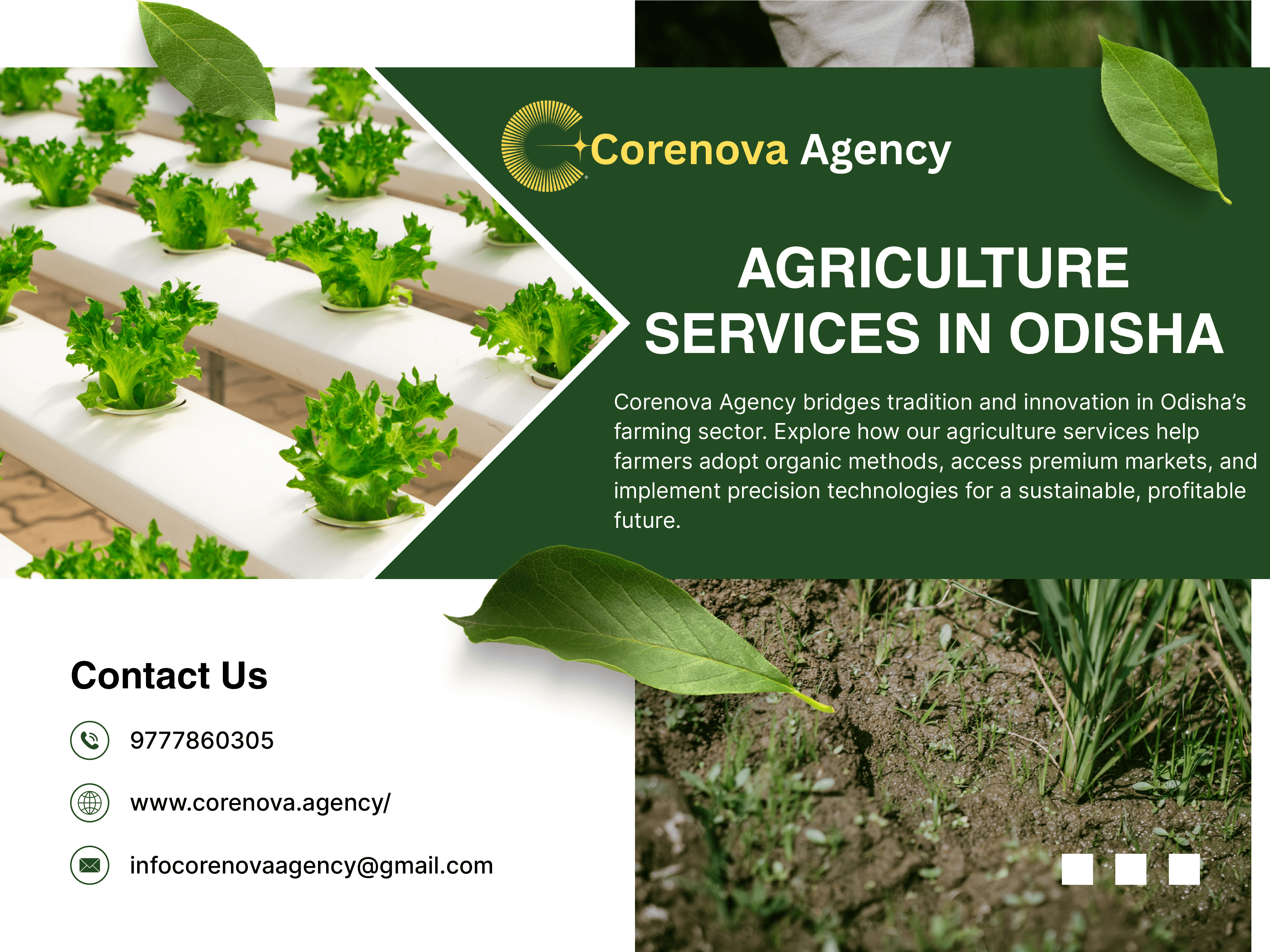 Modern Farming Technology & Organic Support | CoreNova Agency