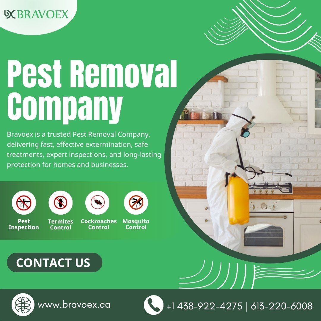 Reliable Pest Removal Company Ottawa for Lasting Protection