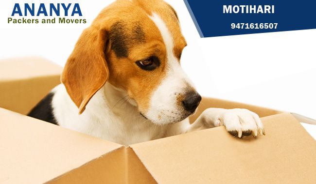 Packers and Movers in Motihari  | 9471616507| Ananya packers and movers 