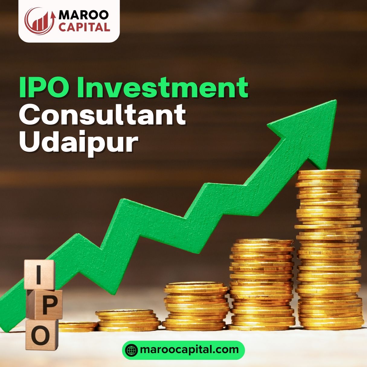 How to Find the Best IPO Investment Consultant in Udaipur?