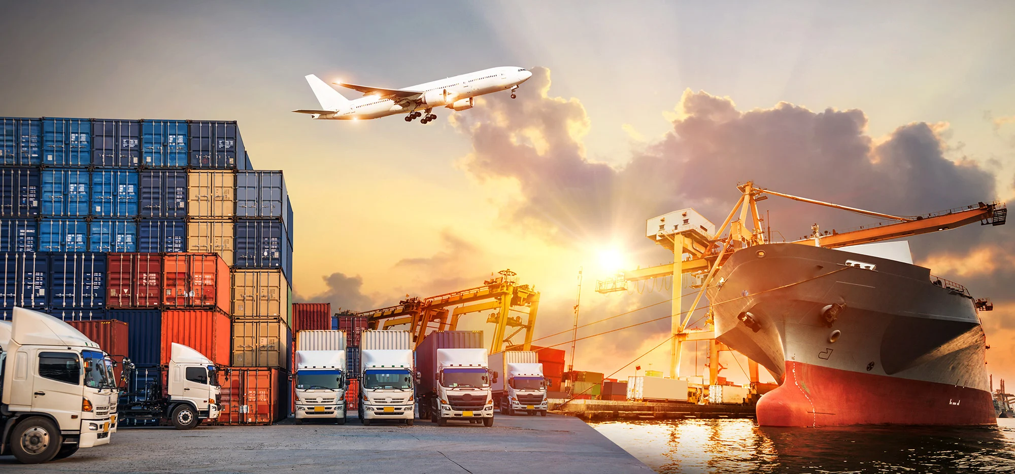 Professional Freight Forwarding for Global Trade